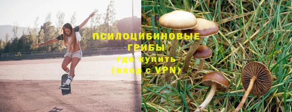 прущие крисы Алексеевка