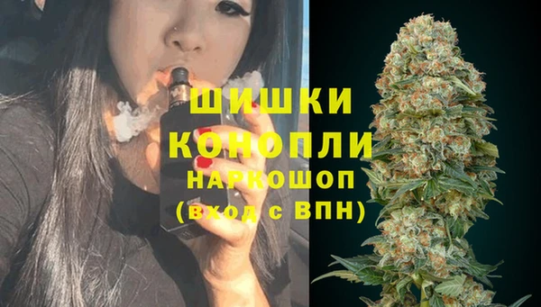 винт Алзамай