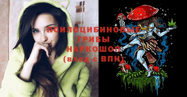 винт Алзамай
